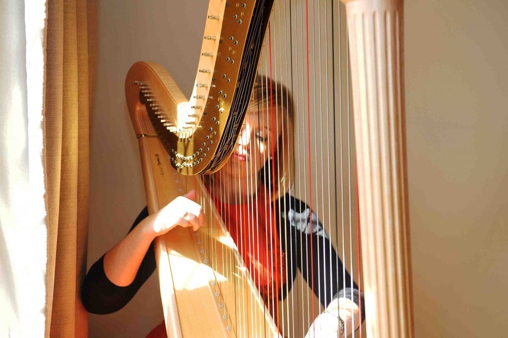 Nicola Veal Harpist